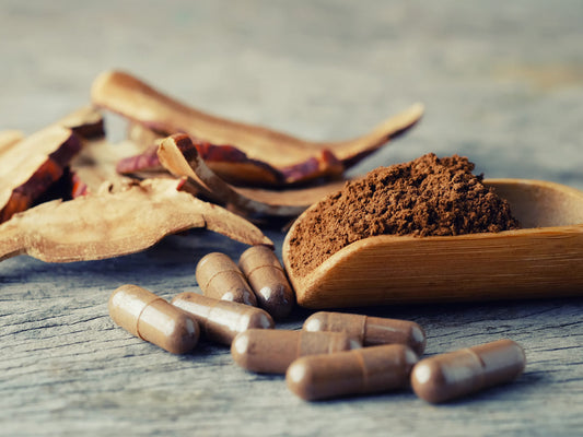 The 15 Most Powerful Benefits of AHCC